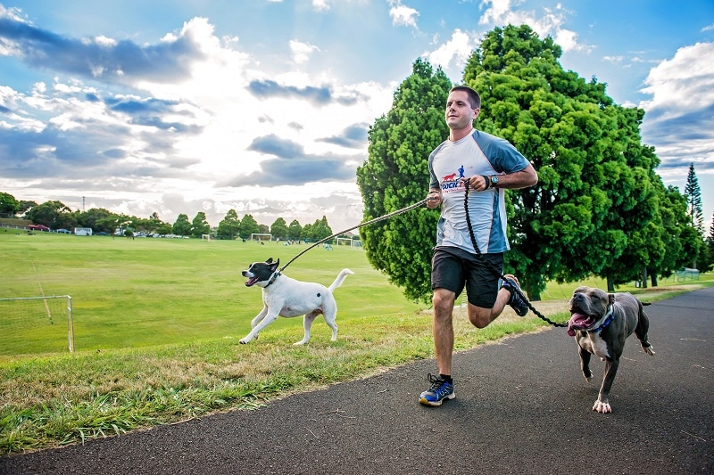 Poochfit2 16 1