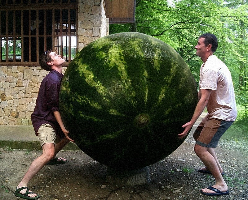 Men Lifting Huge Watermelon 62448